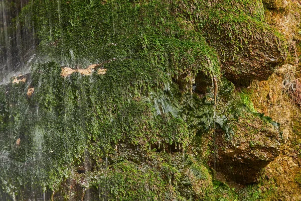 水流在山体的石坡上 覆盖高山的苔藓和苔藓 — 图库照片