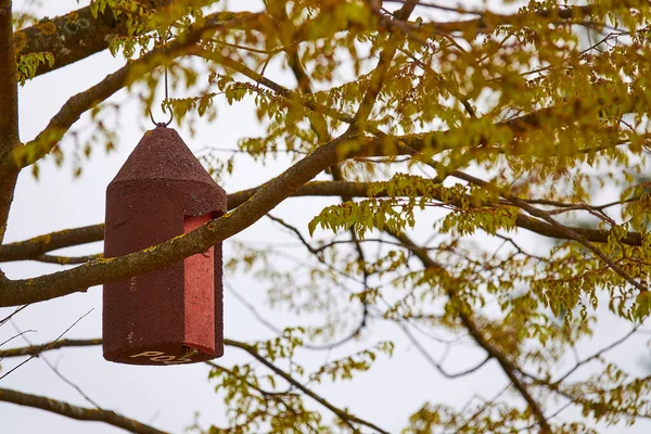 Casa Degli Uccelli Marrone Appesa Albero — Foto Stock