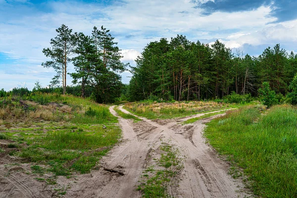 Kreuzung Von Landstraßen Kiefernwald Hohe Kiefern Bewölkter Himmel lizenzfreie Stockbilder