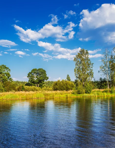 Sommarlandskap — Stockfoto