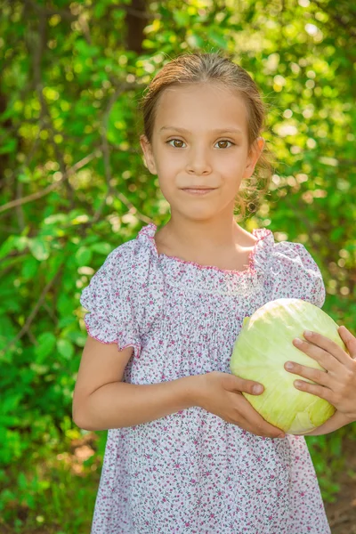 Μικρό κορίτσι εκμετάλλευση λάχανο — Φωτογραφία Αρχείου