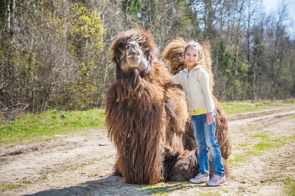 Маленькая девочка гладит двугорбого верблюда — стоковое фото
