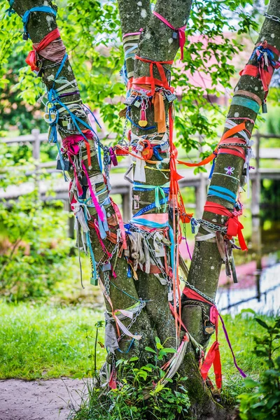 Ağaç, kilitleri ile asılı