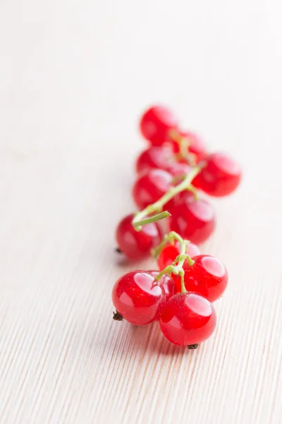 Sprig av röda vinbär — Stockfoto