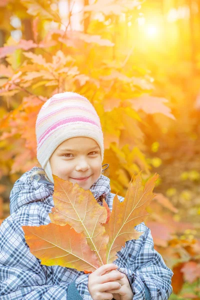 Little girl in yellow coat collects yellow maple leaves — Stock Photo, Image