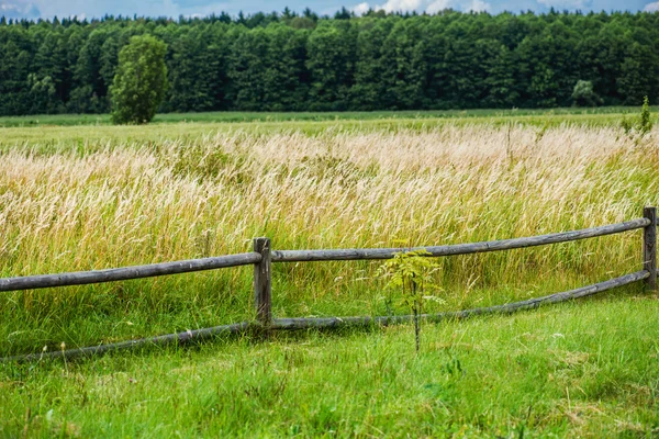 Wooden fence — Stock Photo, Image