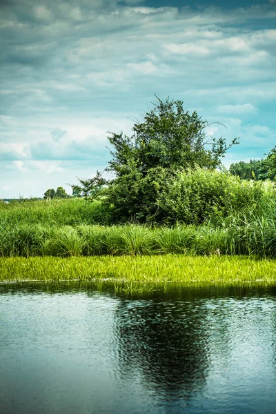 Zomer landschap — Stockfoto