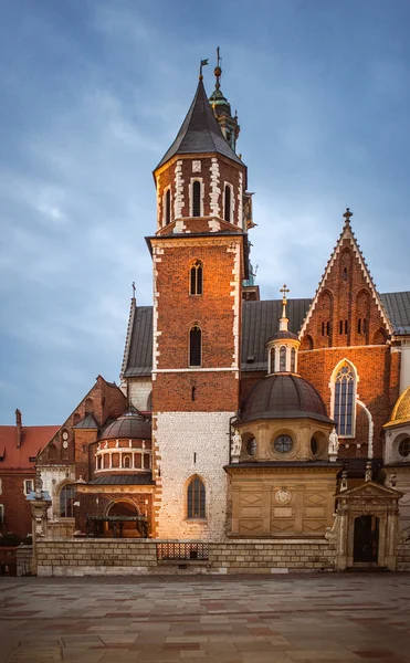 Wawel i Kraków, Polen — Stockfoto