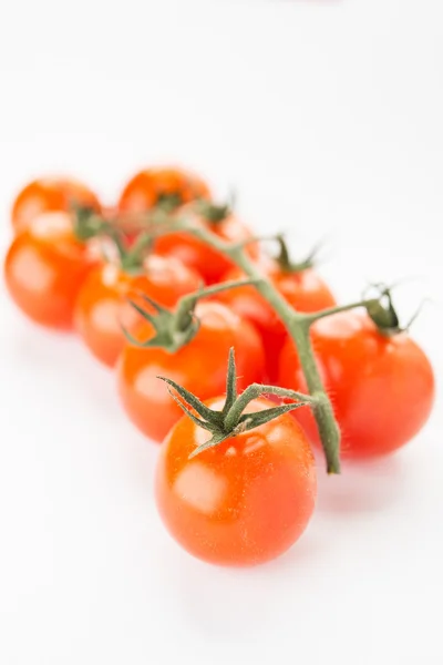 Branch tomatoes — Stock Photo, Image