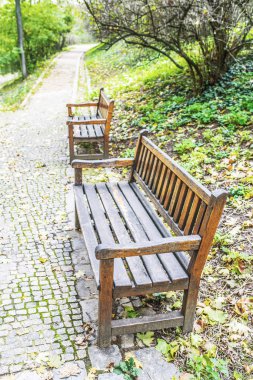 Sonbaharda ahşap bank