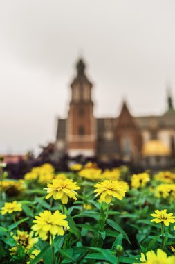 Wawel Krakow, Polonya