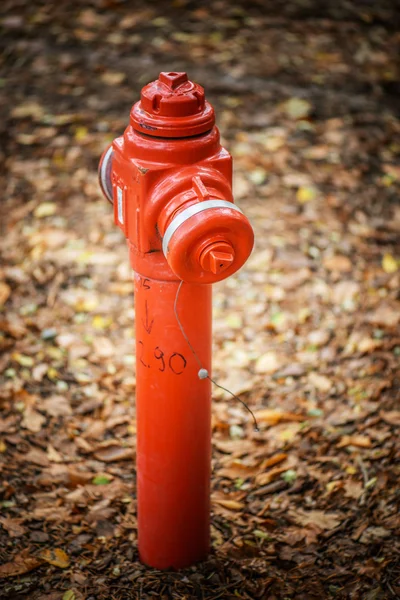 Kırmızı standpipe — Stok fotoğraf