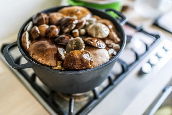 White mushrooms — Stock Photo, Image