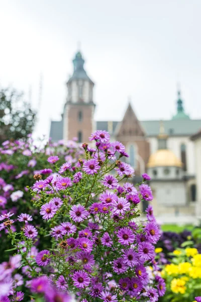 Wawel w Krakowie, Polska — Zdjęcie stockowe