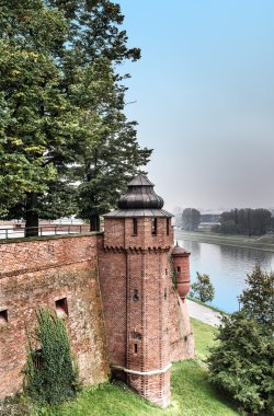 Wawel Krakow, Polonya