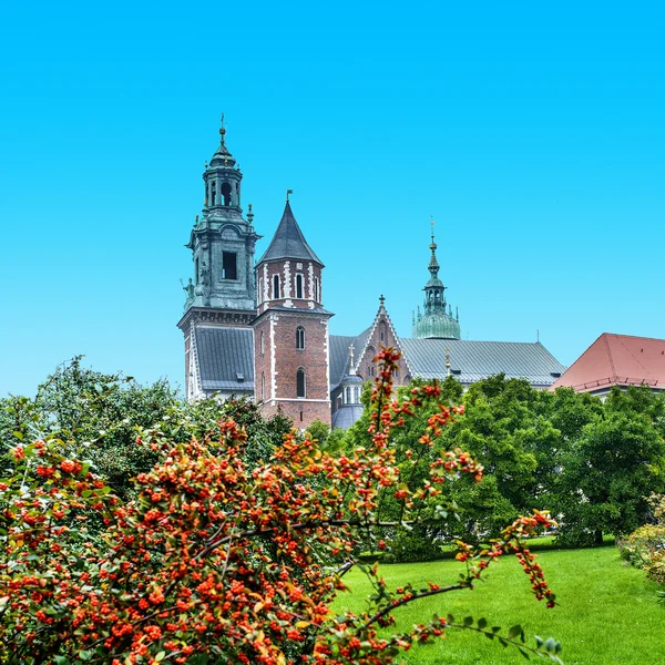 Wawel in Krakau, Polen — Stockfoto