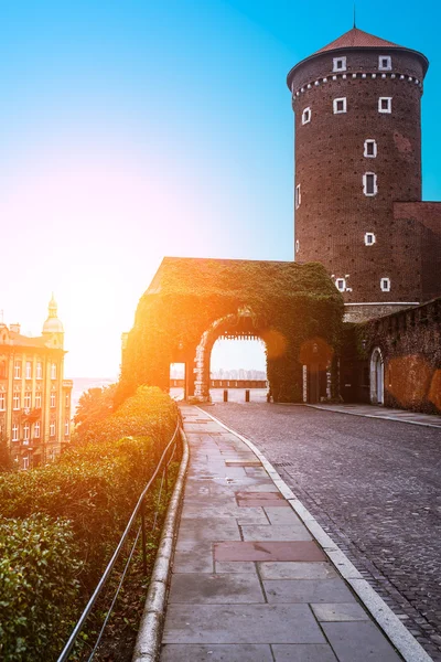 Wawel v Krakově, Polsko — Stock fotografie