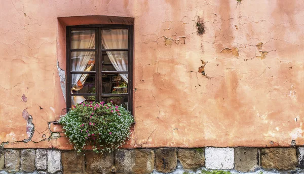 Çiçekçi ile eski pencere — Stok fotoğraf