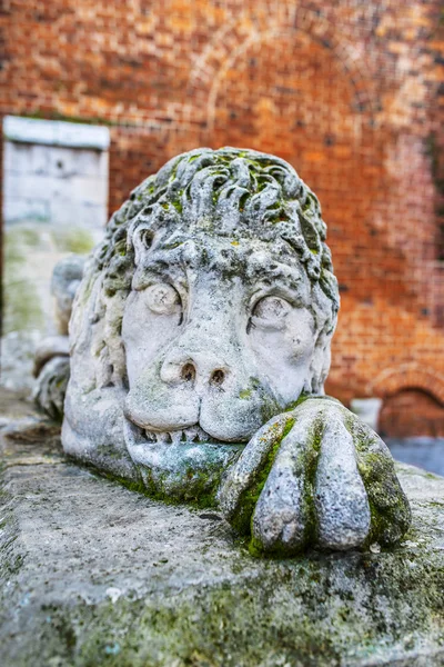 Stone old lion — Stock Photo, Image