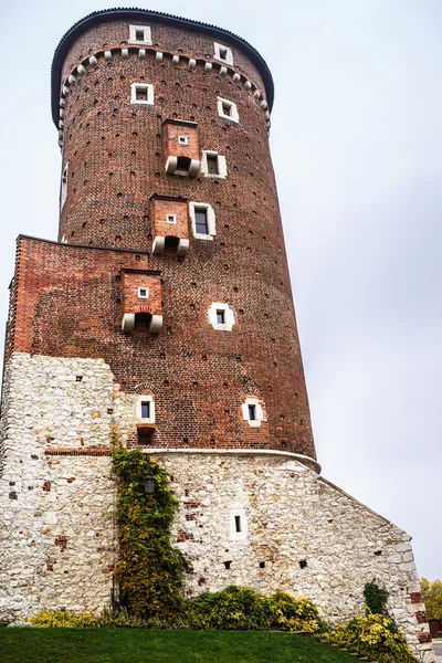 Wawel à Cracovie, Pologne — Photo