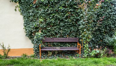 Sonbaharda ahşap bank