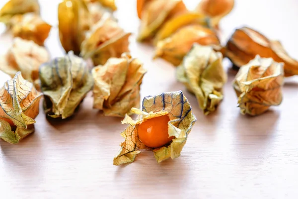 Ώριμα physalis πορτοκαλί — Φωτογραφία Αρχείου