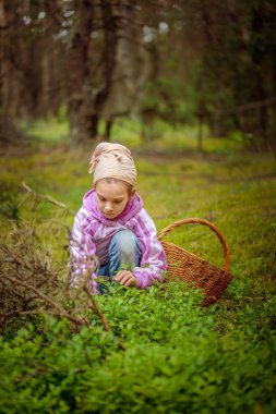 Kız pick yaban mersini