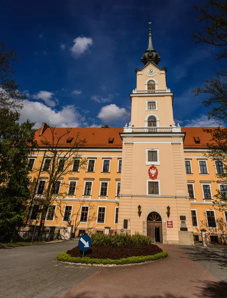 Castillo de Rzeszow — Foto de Stock