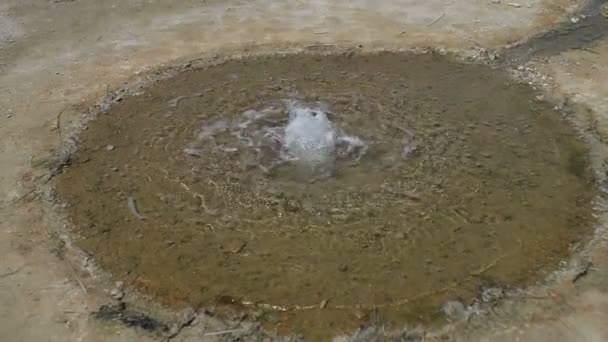 Geyser is spring intermittent discharge of water — Stock Video