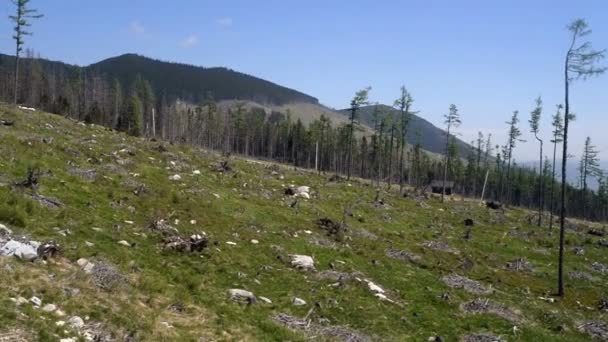 Tatra Mountains in Slovakia — Stock Video