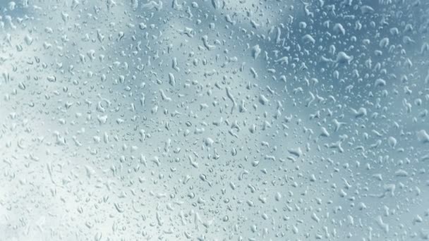 Regendruppels op venster — Stockvideo