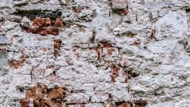 Mur de briques avec du plâtre qui s'effrite — Video