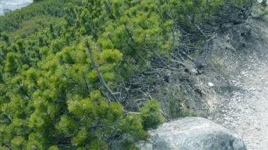 Lomnicky stit Slovakya'nın yüksek tatras dağlarda