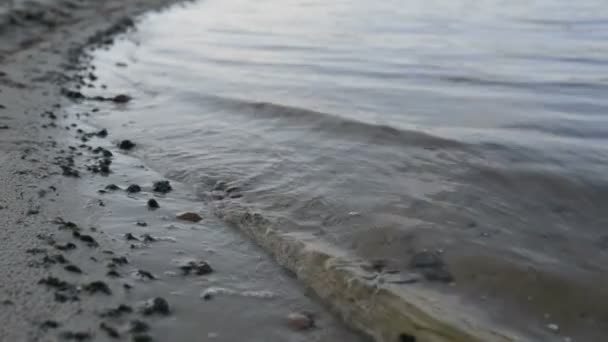 Ufer des großen Sees — Stockvideo