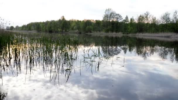 Ondas no lago — Vídeo de Stock