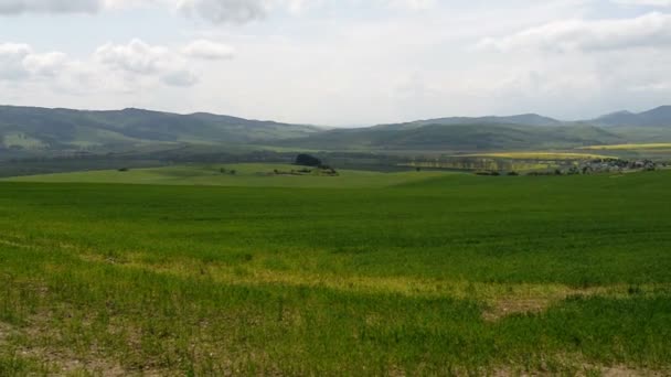 Jarabina dans la région de Presov en Slovaquie — Video