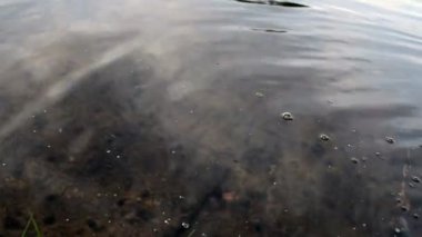 Göldeki dalgalar