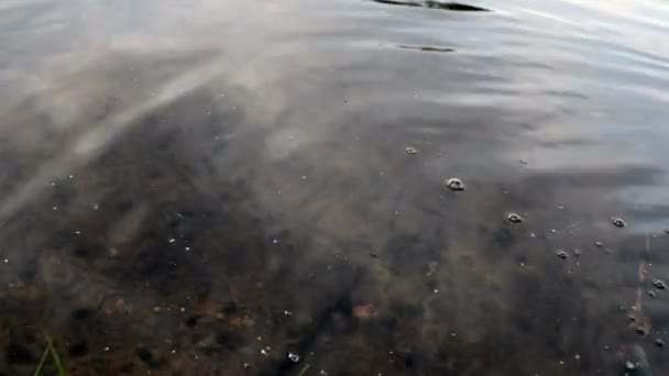 Vågor på sjön — Stockvideo