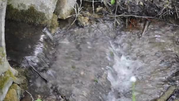 Національний парк Крка є одним з Хорватська — стокове відео