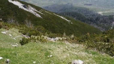 Slovakya'daki Tatra Dağları