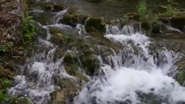 Park Narodowy Krka jest jednym z Chorwacji — Wideo stockowe