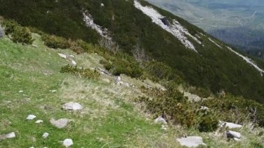 Slovakya'daki Tatra Dağları