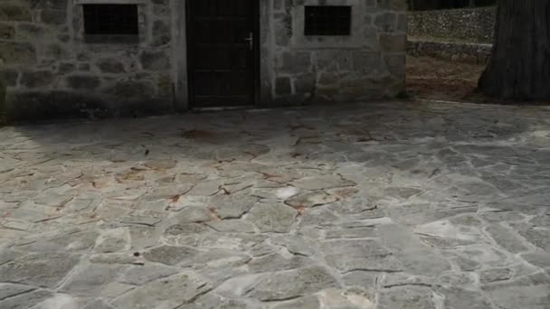 Pietra vecchia chiesa del Parco Nazionale di Krka è uno dei croati — Video Stock