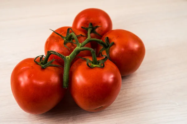 Oddziały czerwone pomidory — Zdjęcie stockowe
