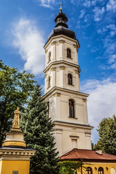 Kathedraal van de Hemelvaart van Maagd Maria — Stockfoto