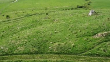 SPI Kalesi