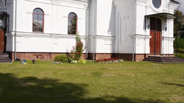 Iglesia de la Santa Cruz en la ciudad Vysokaye — Vídeos de Stock