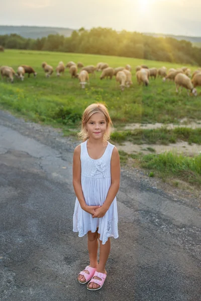 Holčička na pastvinách s ovcí — Stock fotografie