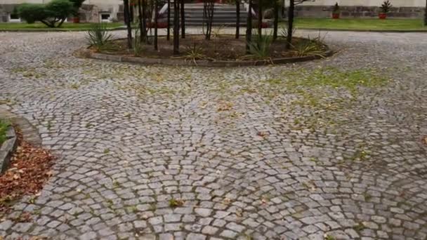Lomza, 폴란드에서 주교 궁전 — 비디오
