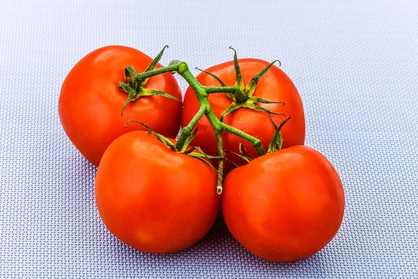 Grenar av röda tomater — Stockfoto